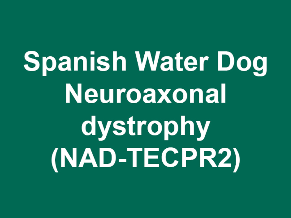 Umbraco.Cms.Infrastructure.PublishedCache.Property