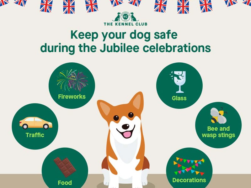 Infographic about keeping your dog safe during the Jubilee celebrations