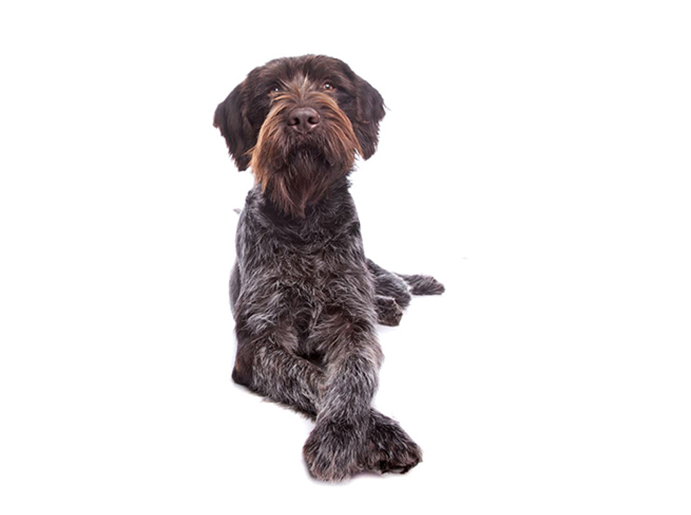 Umbraco.Cms.Infrastructure.PublishedCache.Property