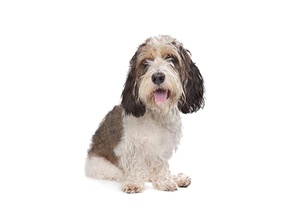 Umbraco.Cms.Infrastructure.PublishedCache.Property