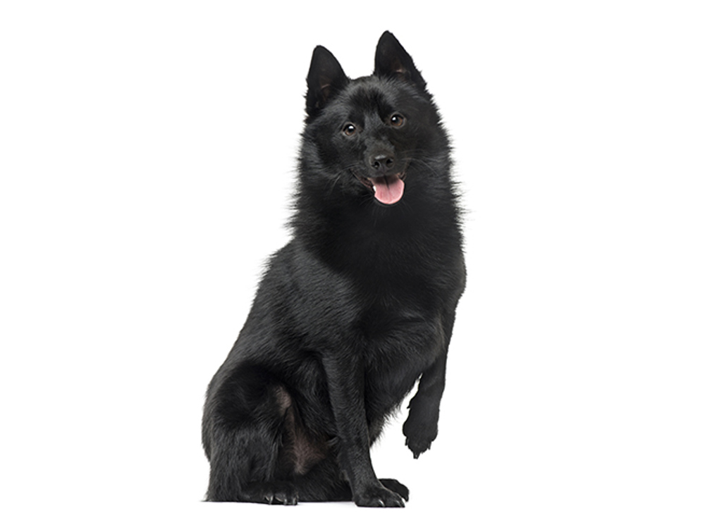 Umbraco.Cms.Infrastructure.PublishedCache.Property