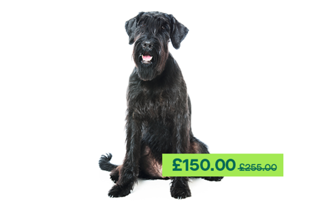 Umbraco.Cms.Infrastructure.PublishedCache.Property