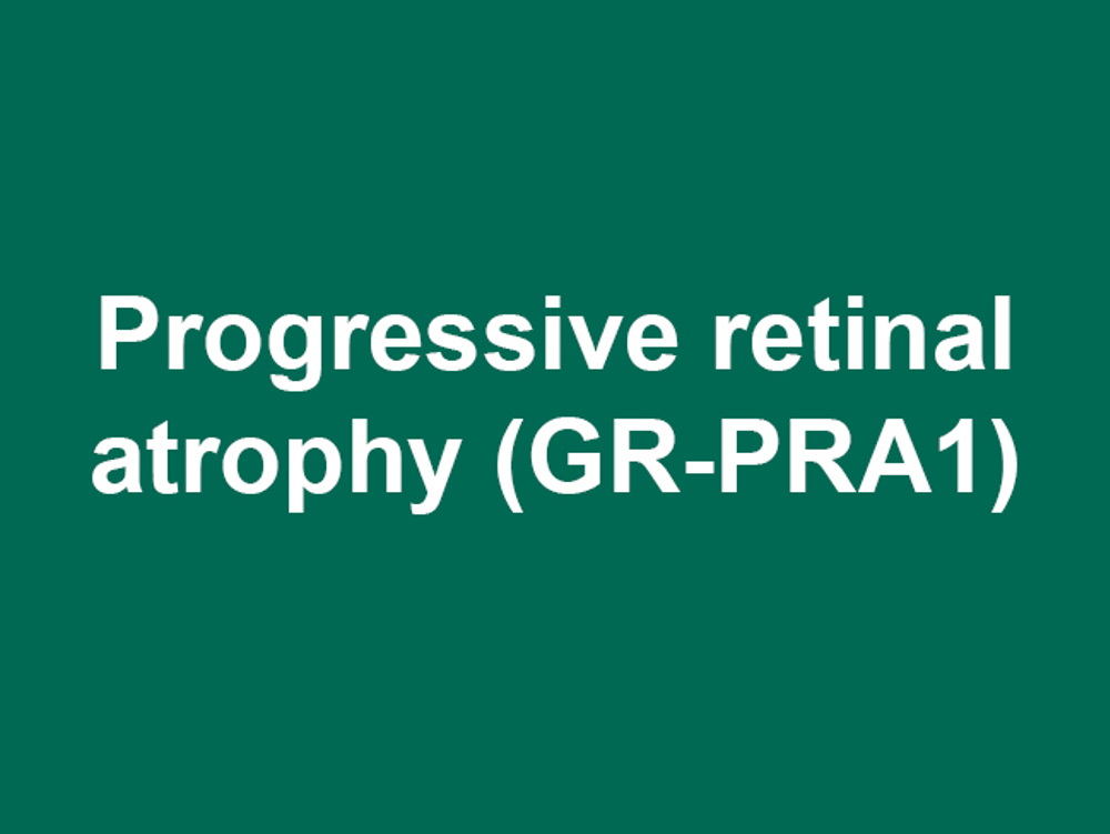 Umbraco.Cms.Infrastructure.PublishedCache.Property