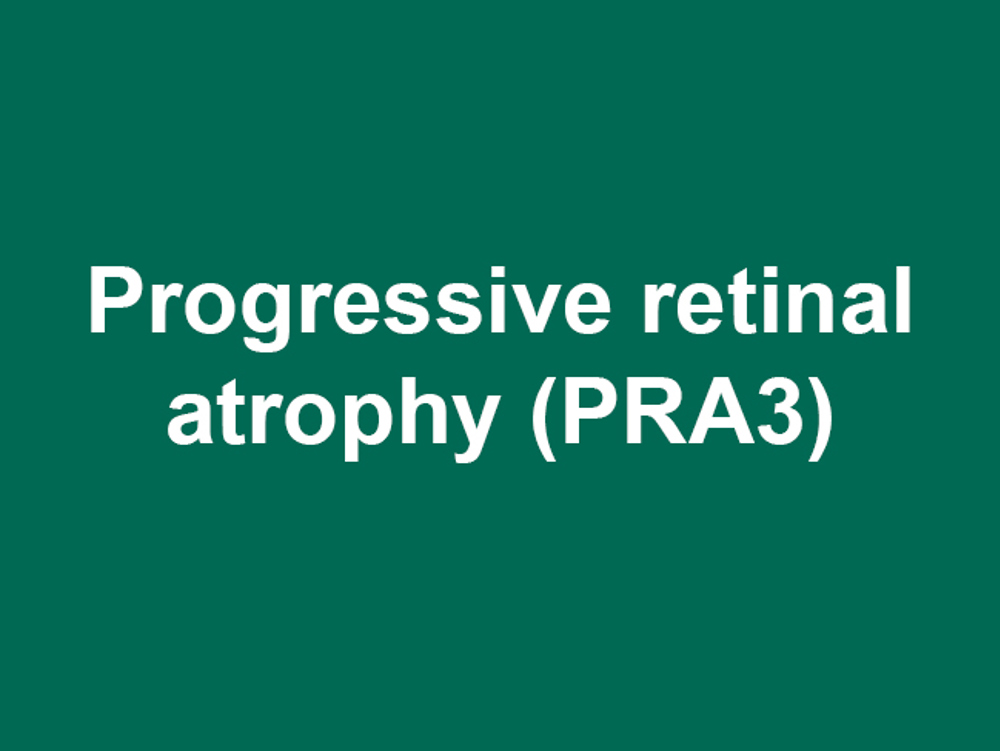 Umbraco.Cms.Infrastructure.PublishedCache.Property