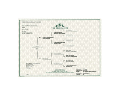 Three generation pedigree