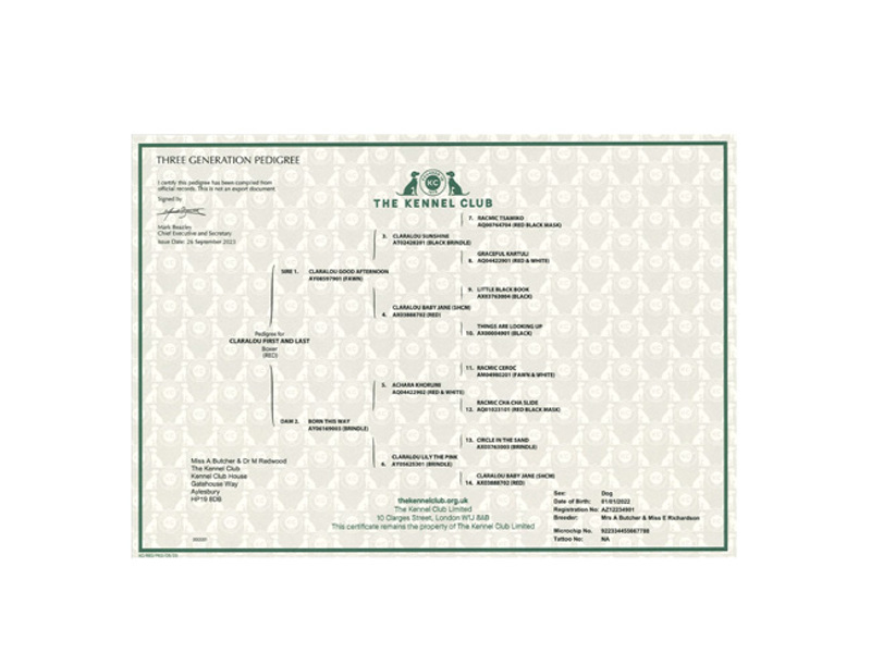 Three generation pedigree
