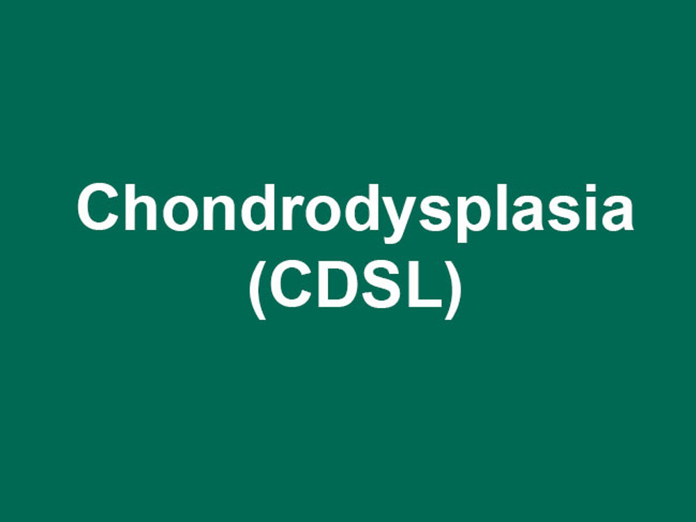 Umbraco.Cms.Infrastructure.PublishedCache.Property