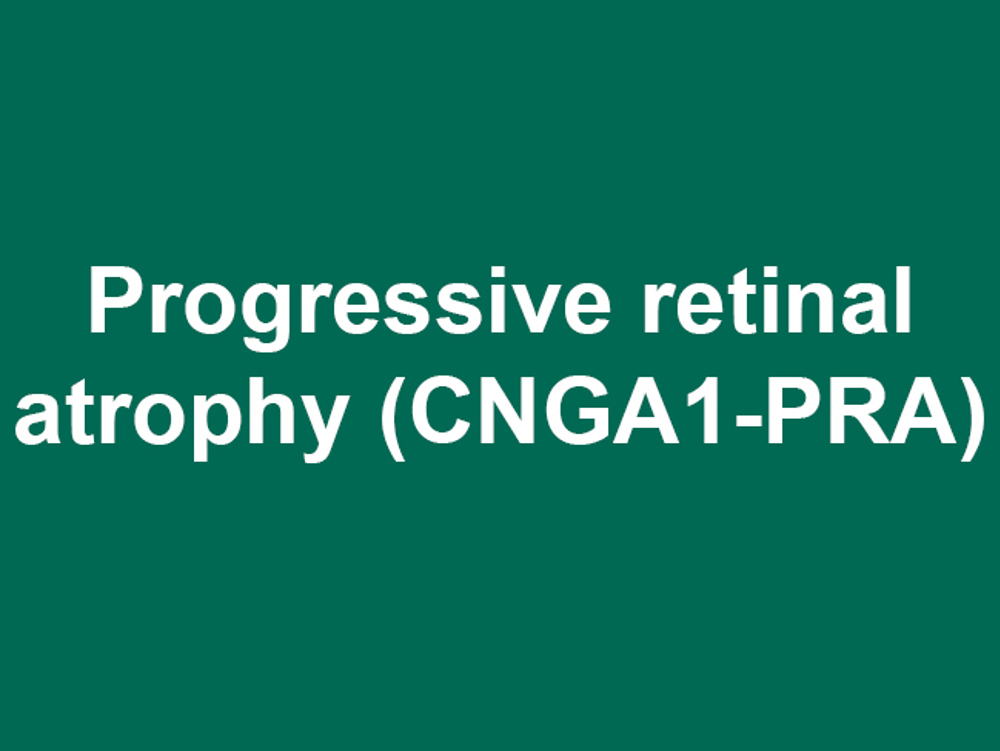 Umbraco.Cms.Infrastructure.PublishedCache.Property