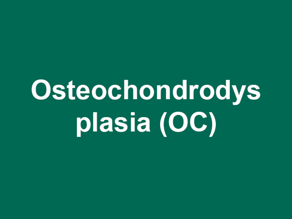 Umbraco.Cms.Infrastructure.PublishedCache.Property