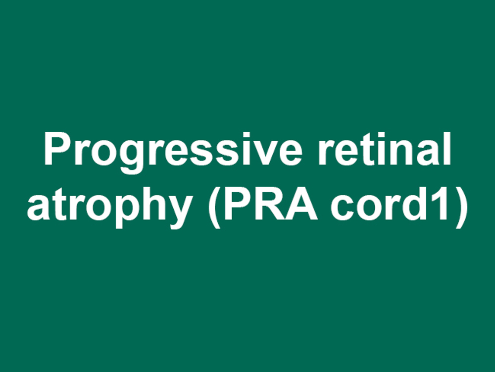 Umbraco.Cms.Infrastructure.PublishedCache.Property