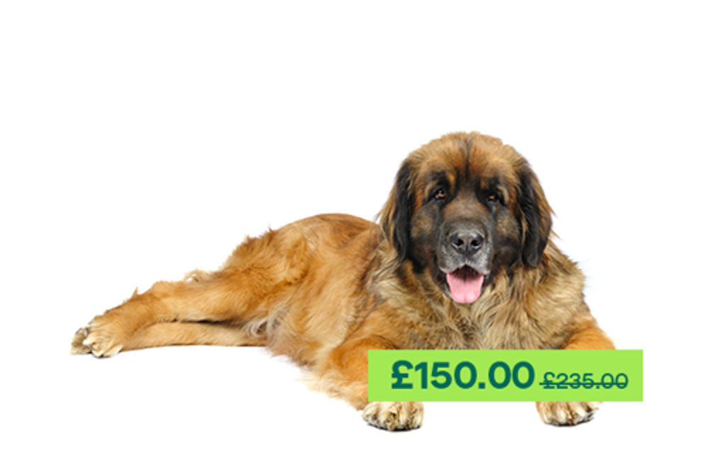 Umbraco.Cms.Infrastructure.PublishedCache.Property