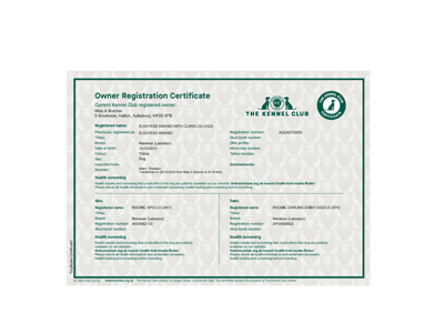 Duplicated Owner Registration Certificate