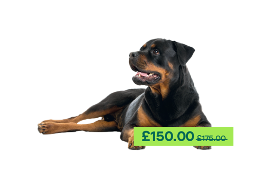 Umbraco.Cms.Infrastructure.PublishedCache.Property