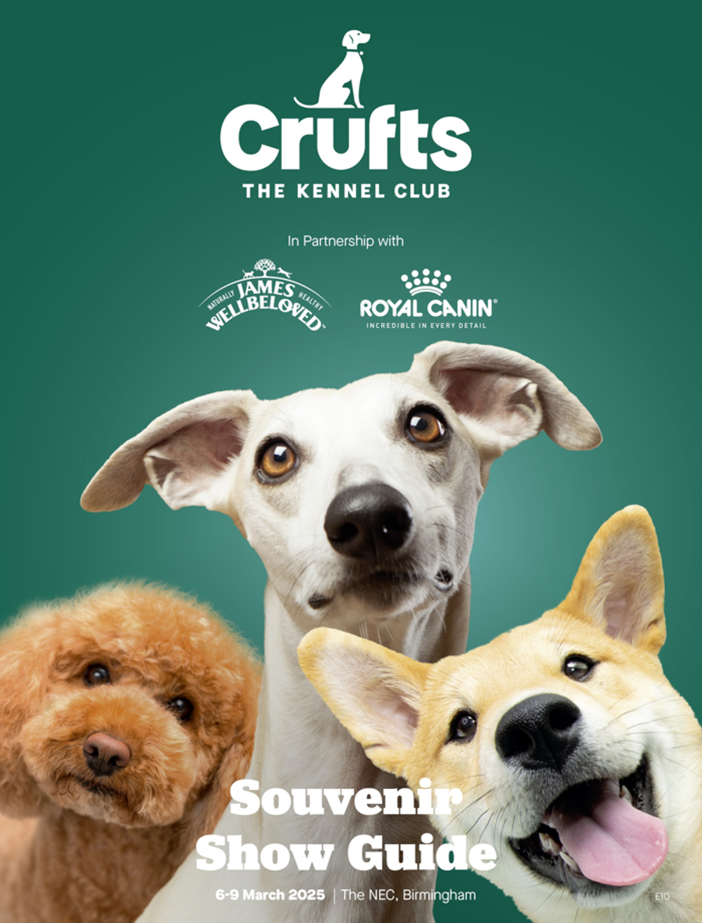 Umbraco.Cms.Infrastructure.PublishedCache.Property