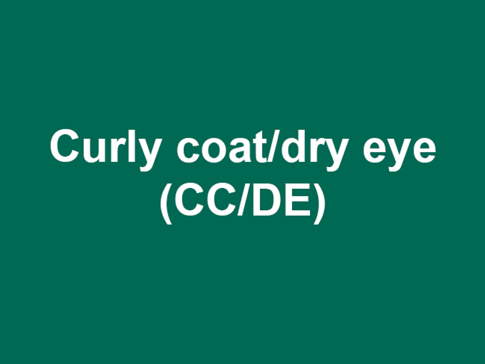 Umbraco.Cms.Infrastructure.PublishedCache.Property