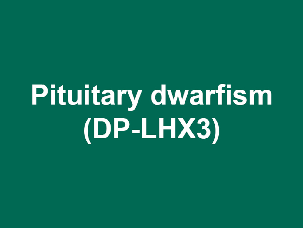 Umbraco.Cms.Infrastructure.PublishedCache.Property