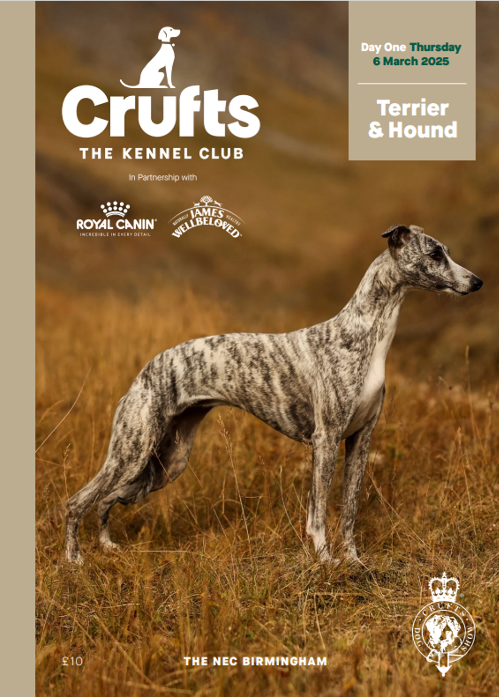 Umbraco.Cms.Infrastructure.PublishedCache.Property