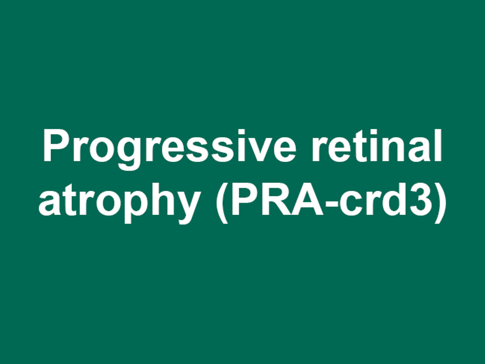 Umbraco.Cms.Infrastructure.PublishedCache.Property