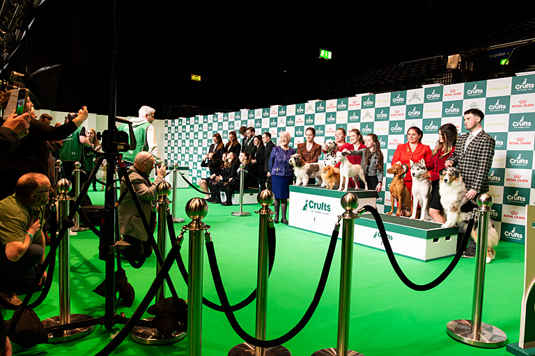 Umbraco.Cms.Infrastructure.PublishedCache.Property