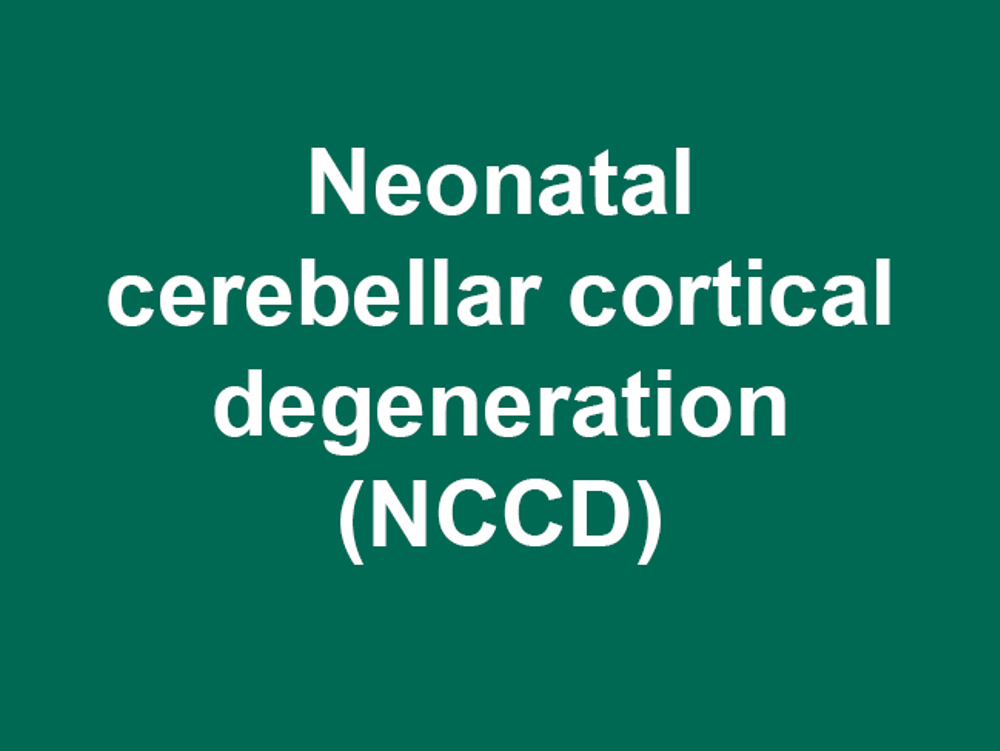 Umbraco.Cms.Infrastructure.PublishedCache.Property