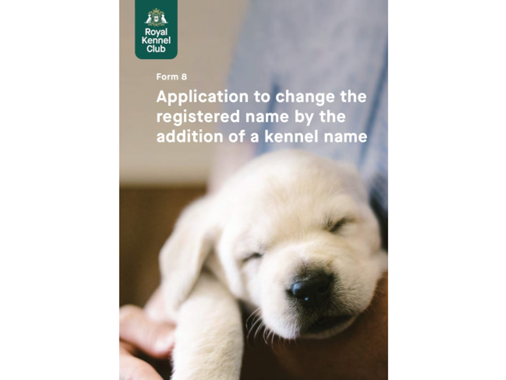 Umbraco.Cms.Infrastructure.PublishedCache.Property