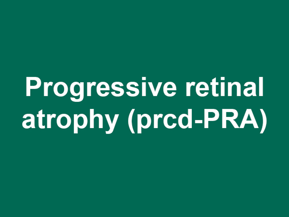 Umbraco.Cms.Infrastructure.PublishedCache.Property