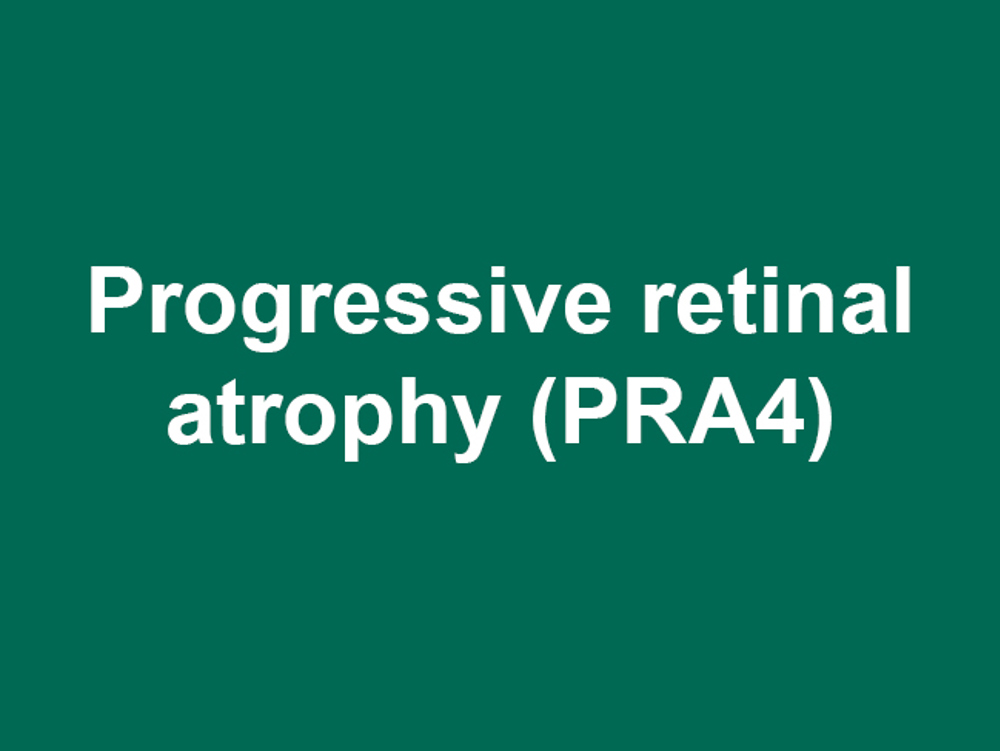 Umbraco.Cms.Infrastructure.PublishedCache.Property