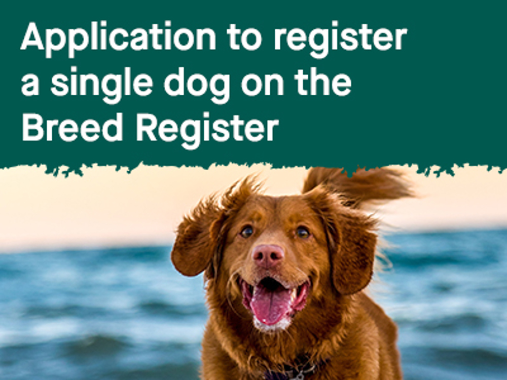 Umbraco.Cms.Infrastructure.PublishedCache.Property