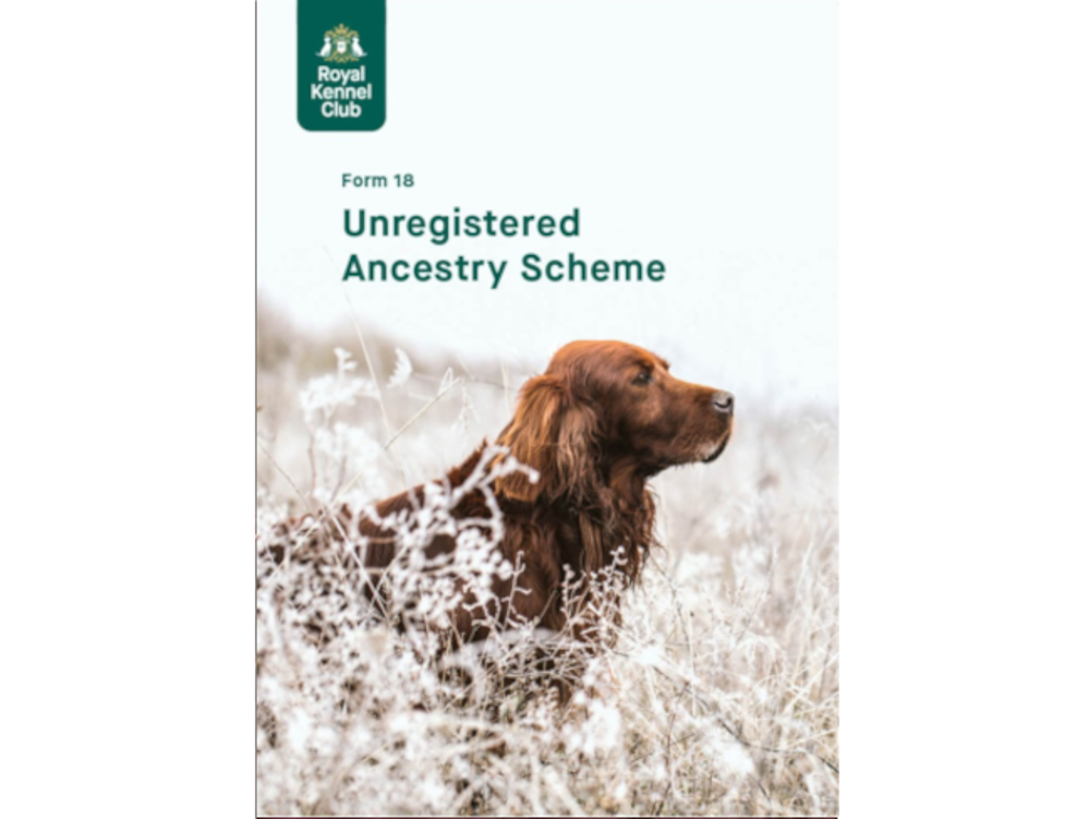 Umbraco.Cms.Infrastructure.PublishedCache.Property