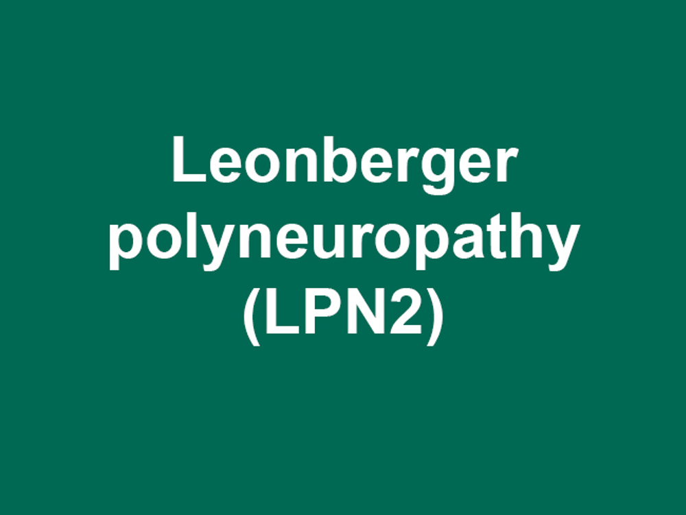 Umbraco.Cms.Infrastructure.PublishedCache.Property