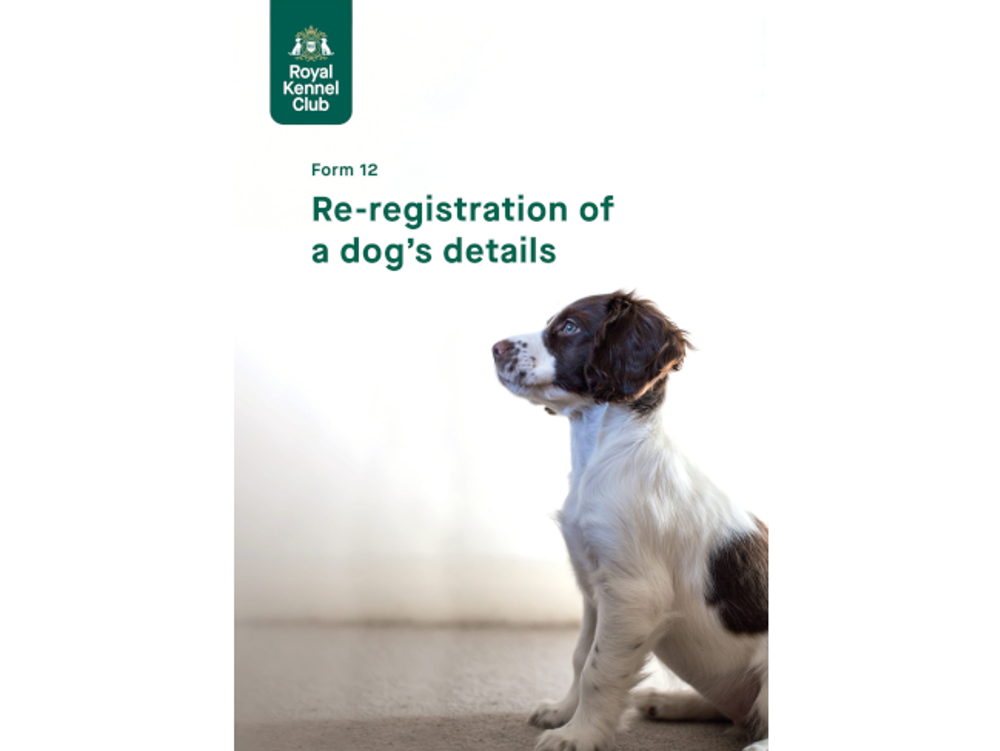 Umbraco.Cms.Infrastructure.PublishedCache.Property