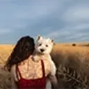 White westie dog looking over person's shoulder, whilst being held in a field of crops.
