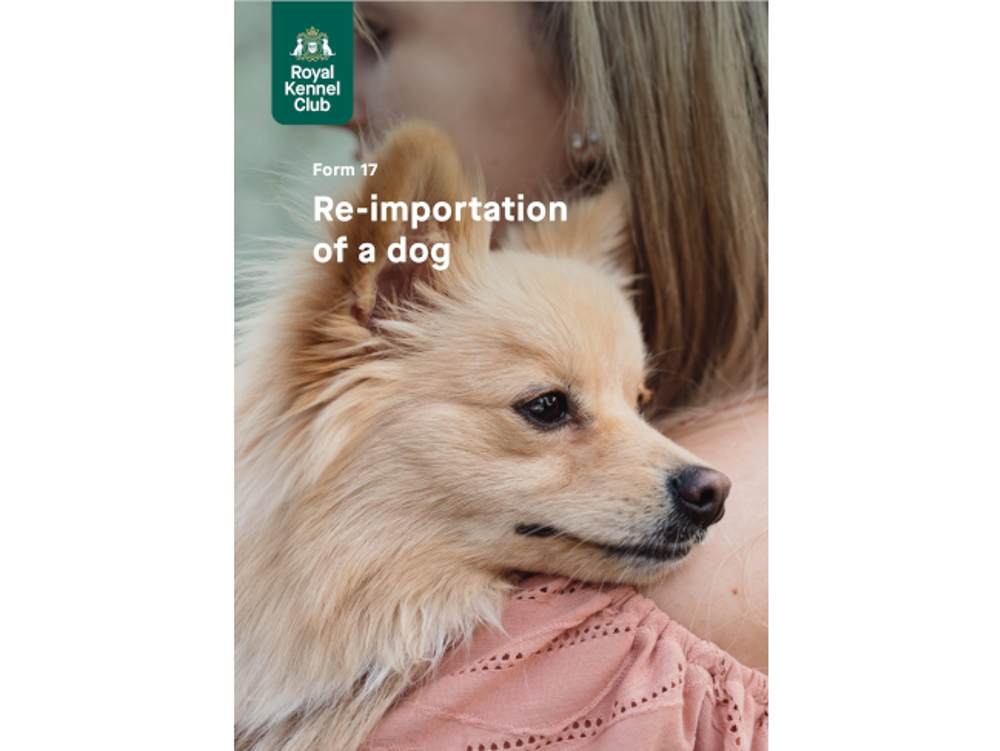 Umbraco.Cms.Infrastructure.PublishedCache.Property