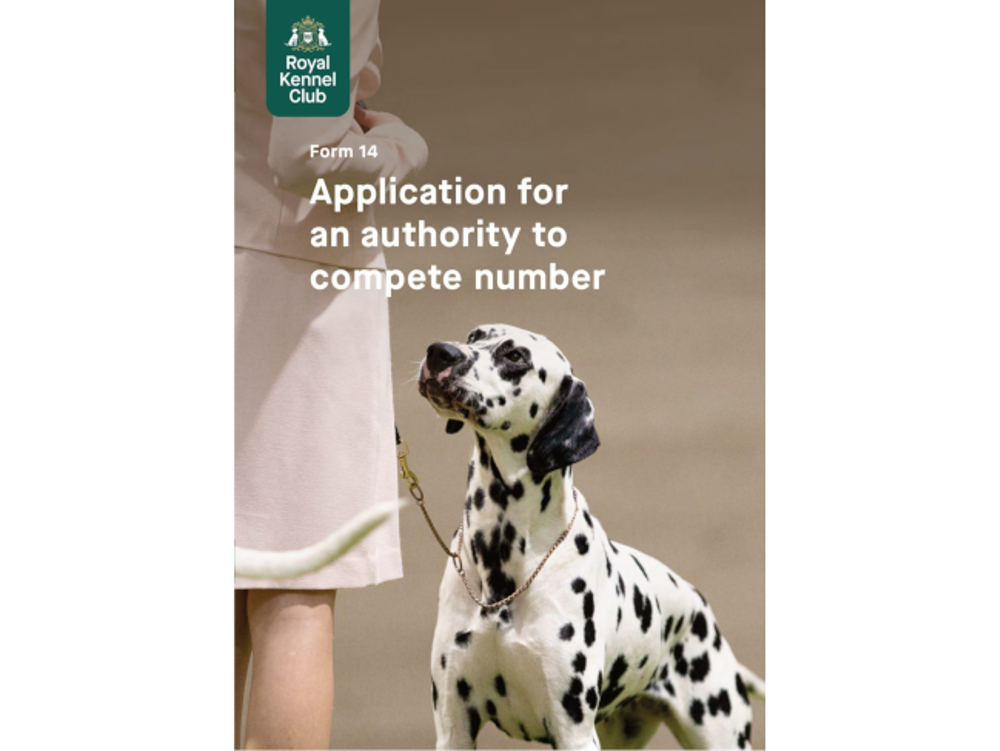 Umbraco.Cms.Infrastructure.PublishedCache.Property