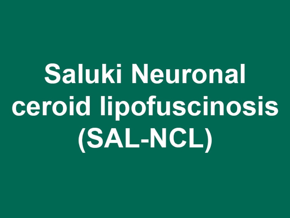 Umbraco.Cms.Infrastructure.PublishedCache.Property