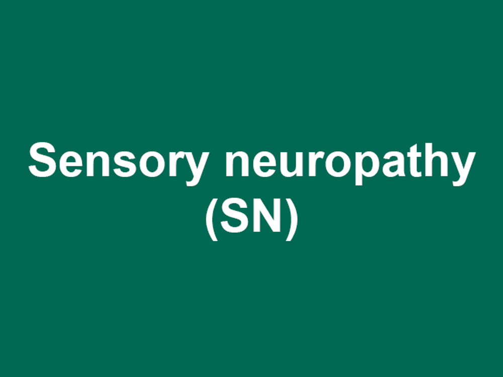 Umbraco.Cms.Infrastructure.PublishedCache.Property