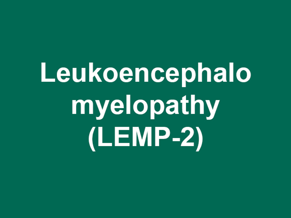 Umbraco.Cms.Infrastructure.PublishedCache.Property