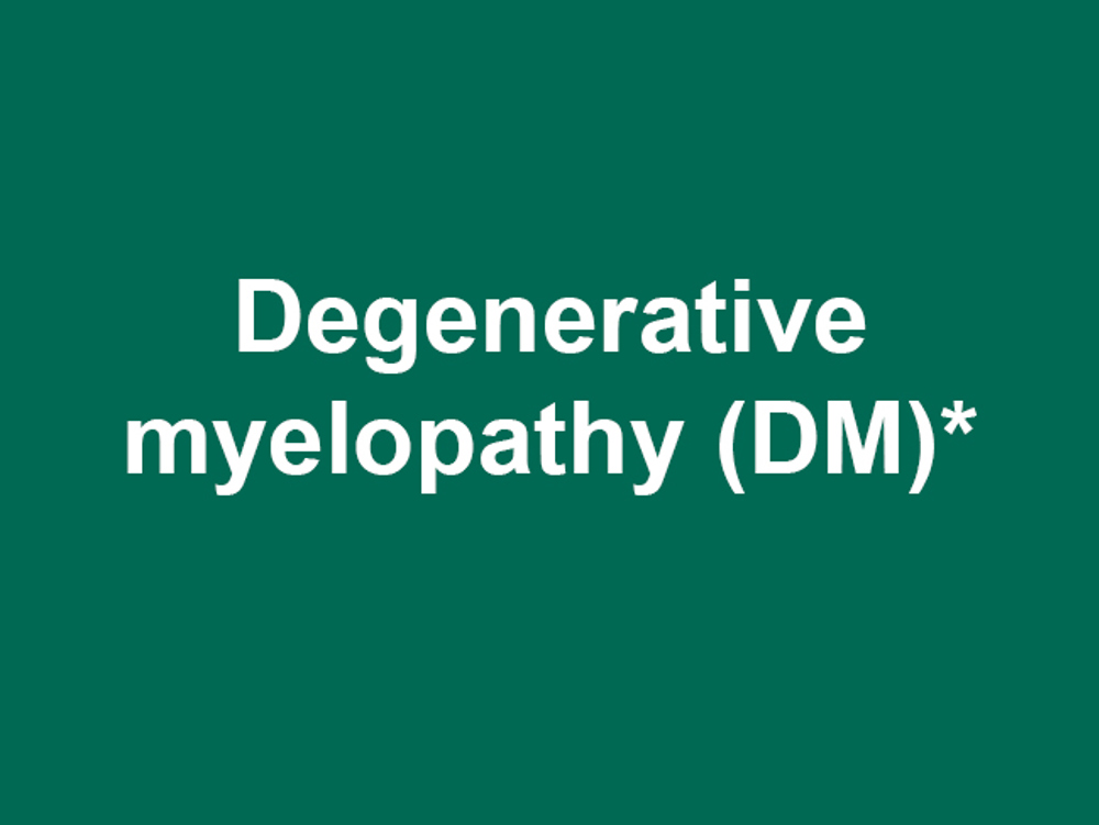 Umbraco.Cms.Infrastructure.PublishedCache.Property