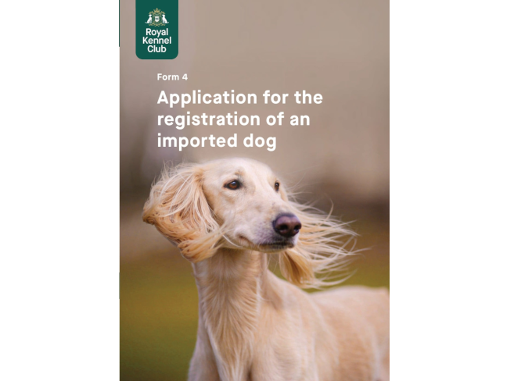 Umbraco.Cms.Infrastructure.PublishedCache.Property