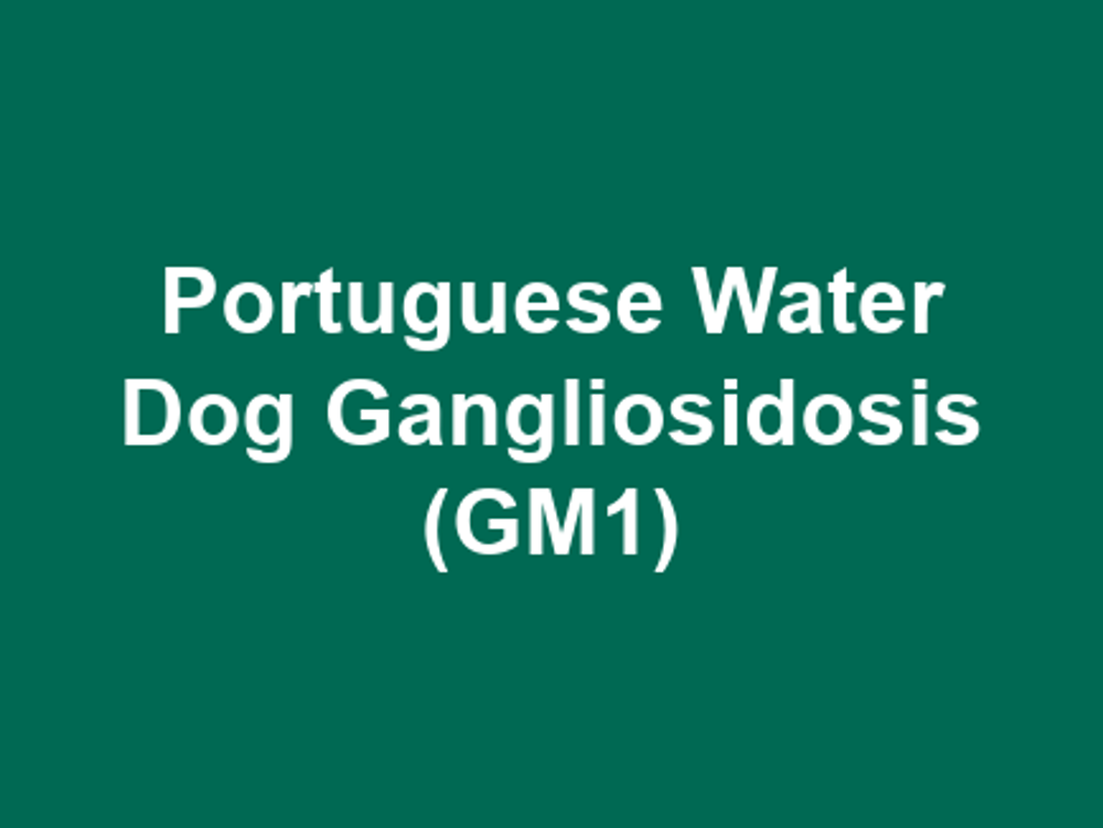 Umbraco.Cms.Infrastructure.PublishedCache.Property