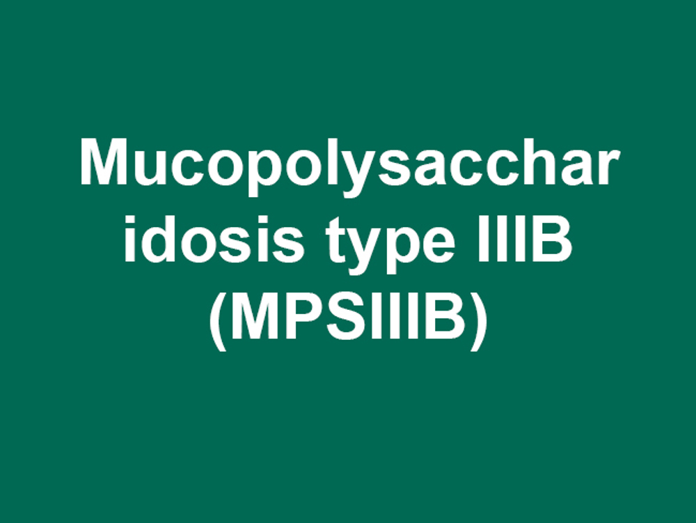 Umbraco.Cms.Infrastructure.PublishedCache.Property