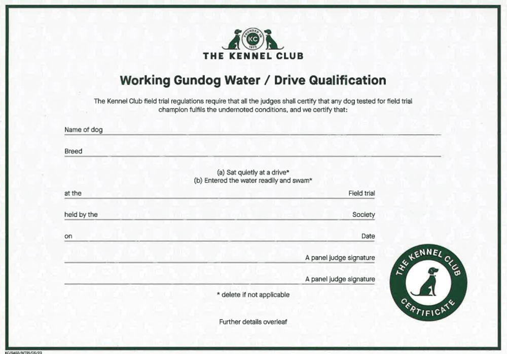 Umbraco.Cms.Infrastructure.PublishedCache.Property