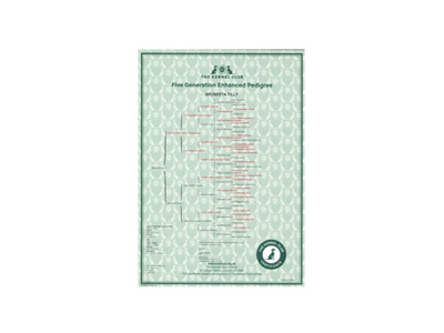 Enhanced Five Generation Pedigree