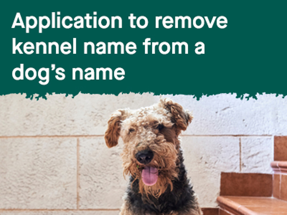 Umbraco.Cms.Infrastructure.PublishedCache.Property