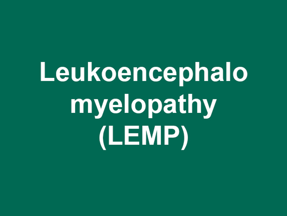 Umbraco.Cms.Infrastructure.PublishedCache.Property