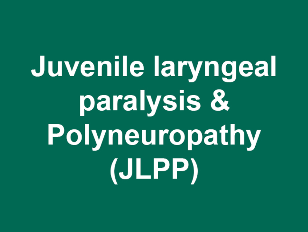 Umbraco.Cms.Infrastructure.PublishedCache.Property