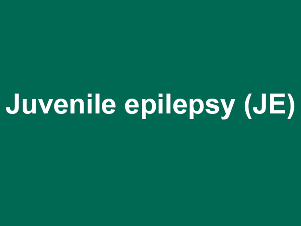 Umbraco.Cms.Infrastructure.PublishedCache.Property