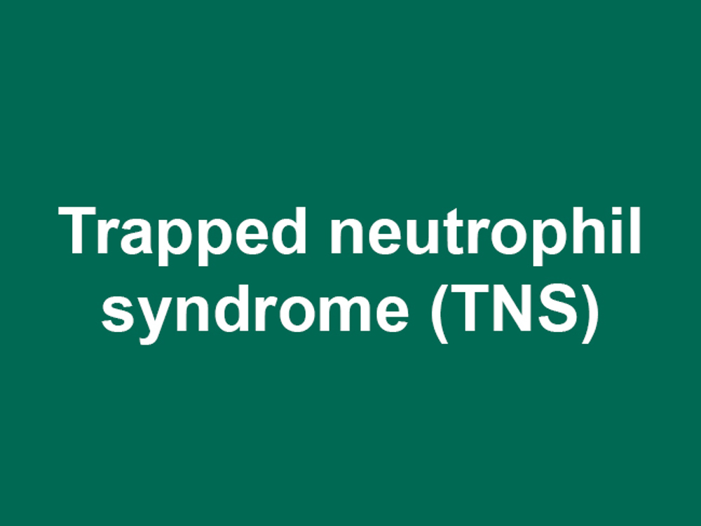 Umbraco.Cms.Infrastructure.PublishedCache.Property