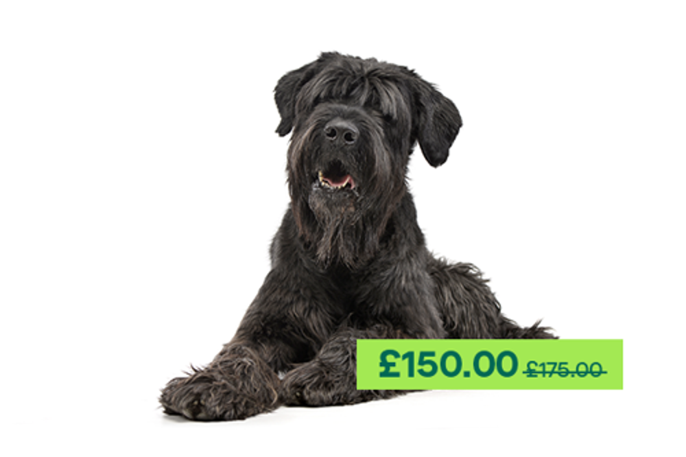 Umbraco.Cms.Infrastructure.PublishedCache.Property