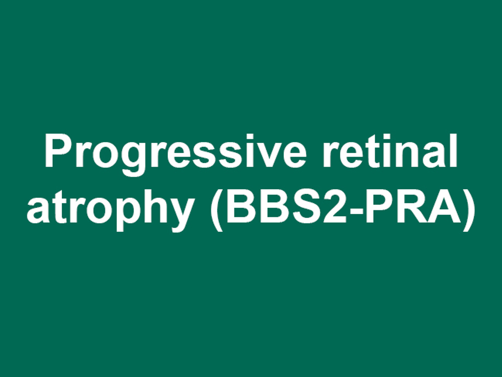 Umbraco.Cms.Infrastructure.PublishedCache.Property